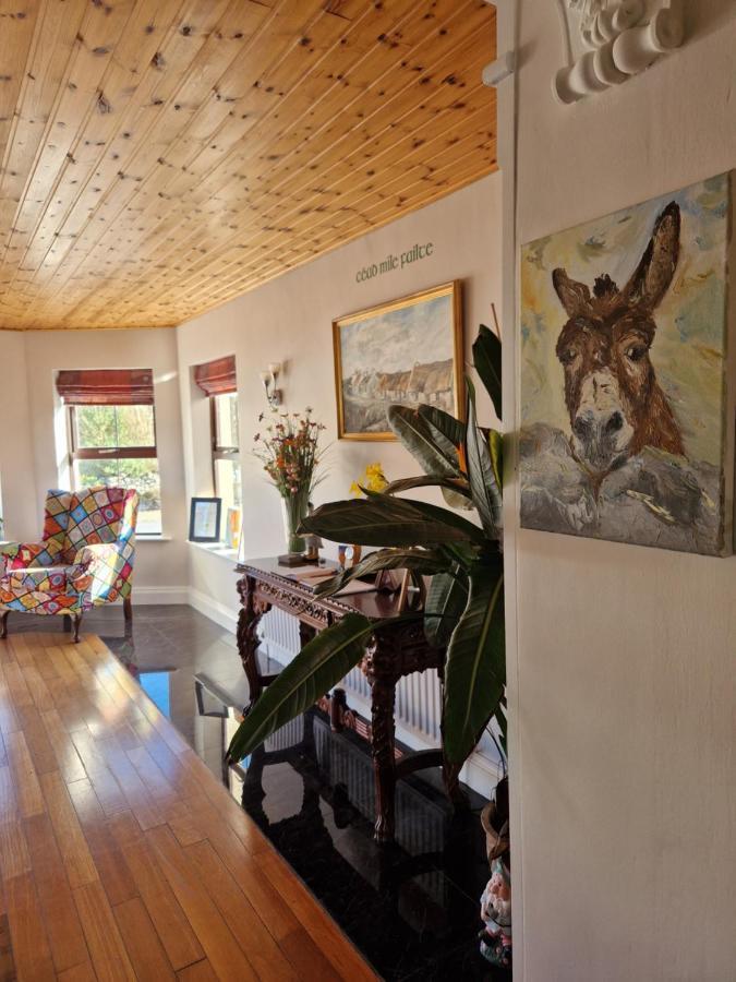 Churchfield B&B Дулин Екстериор снимка